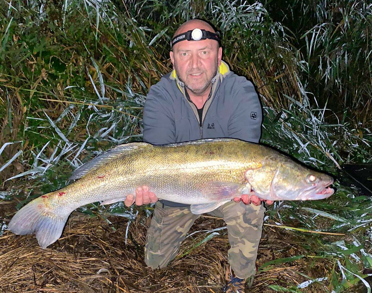 Stefan Schneider Zander 88 cm 14,5 Pfund Wörnitz