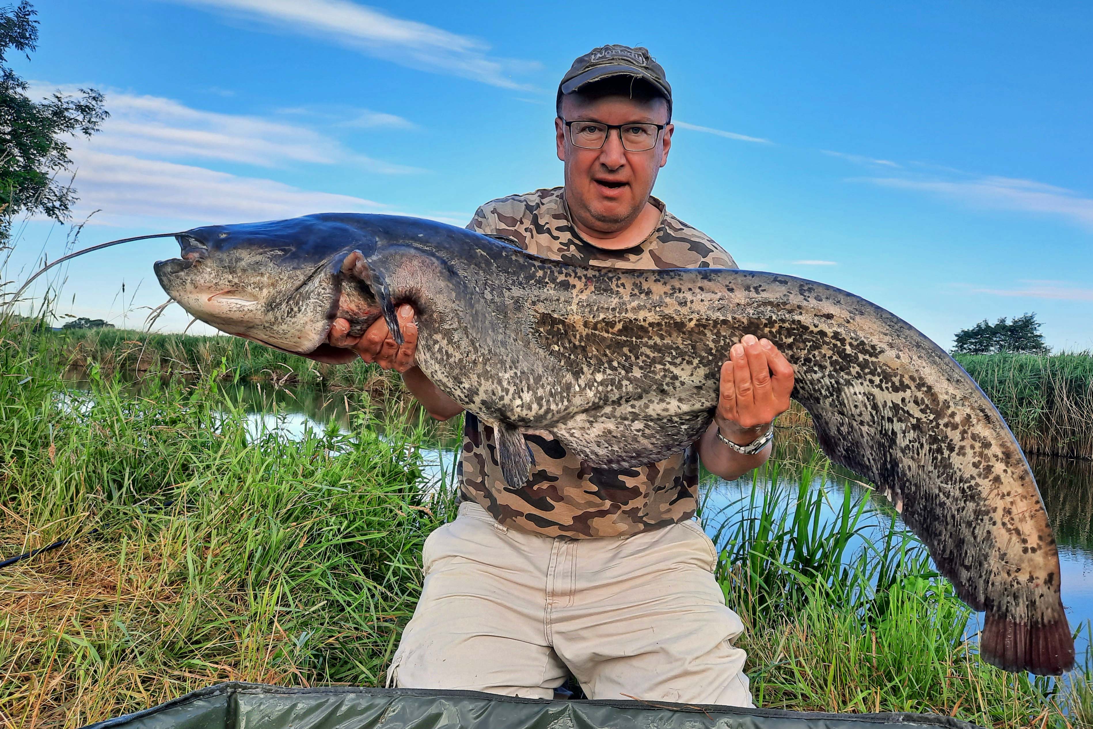 Armin Tuchan Waller 138 cm 17,0 kg Wörnitz