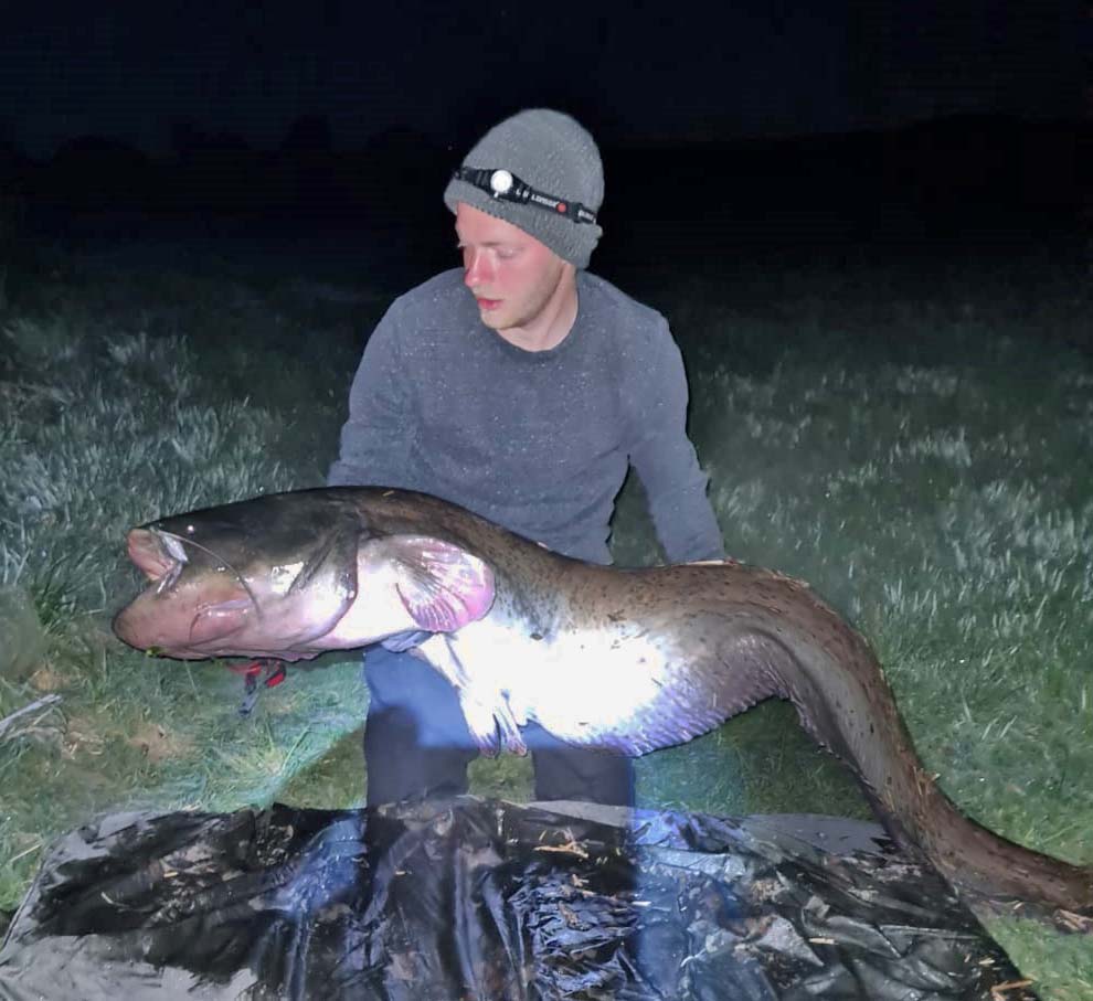 Jan Rödammer Waller 185 cm 91 Pfund Wörnitz