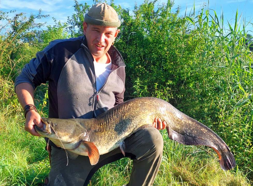 Peter Rösch jun. Waller 1,4 m 15 kg Wörnitz