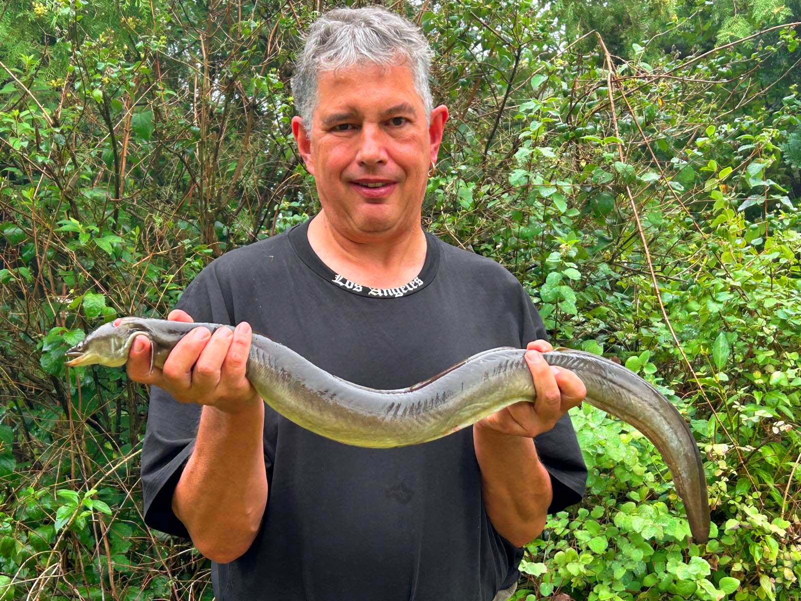 Peter Rösch jun Aal 91 cm 1,5 kg Regnitz